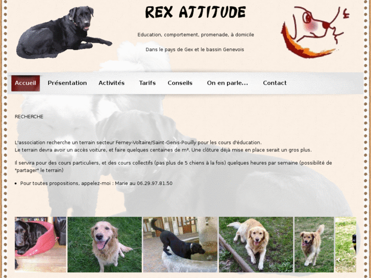 www.rexattitude.com