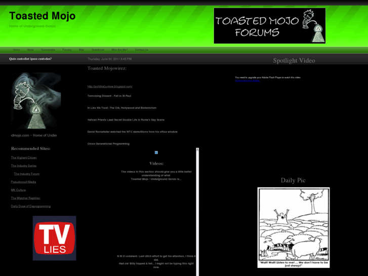 www.toastedmojo.com