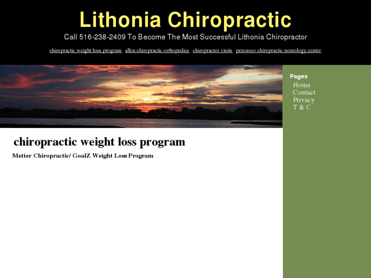 www.lithoniachiropractor.com