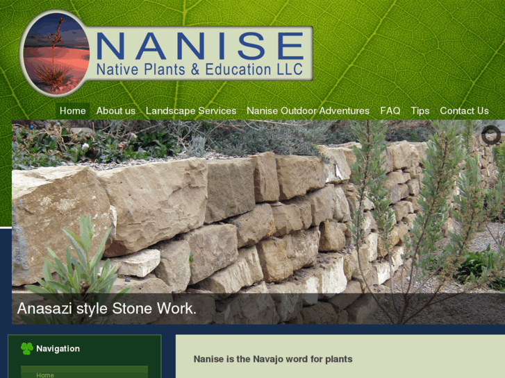 www.nanise.com