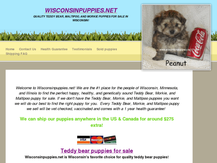 www.wisconsinpuppies.net