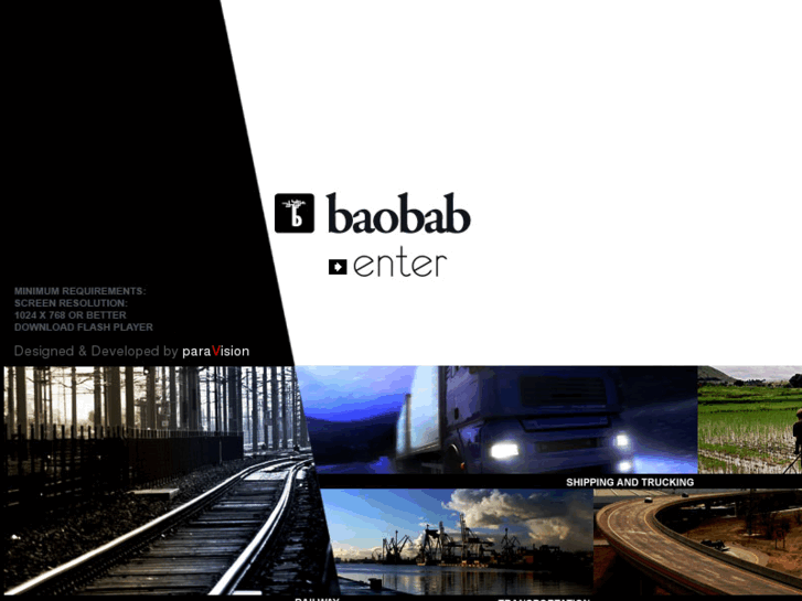 www.baobabdevelopment.net