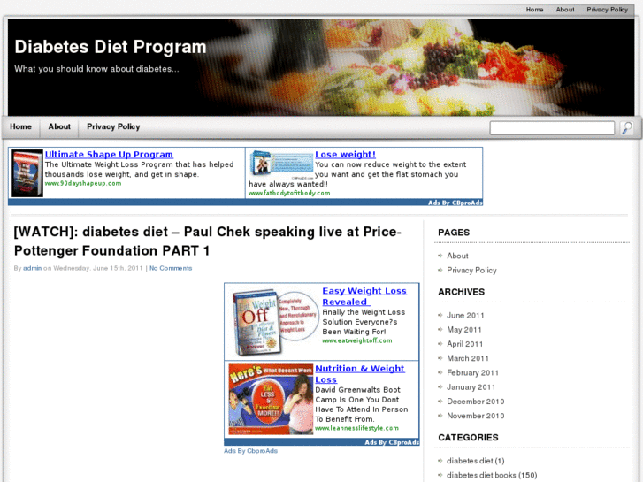 www.diabetes-diet-program.info