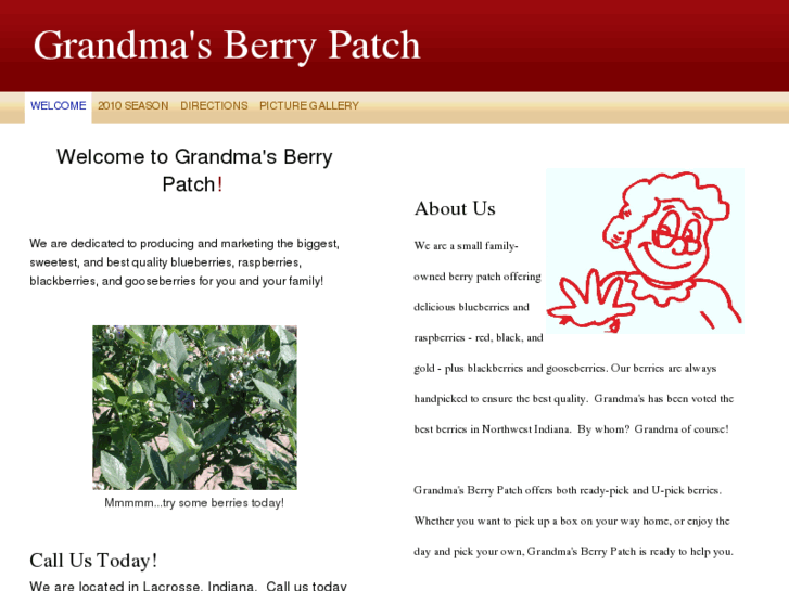 www.grandmasberrypatch.com