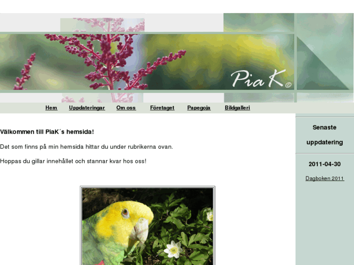 www.piak.net