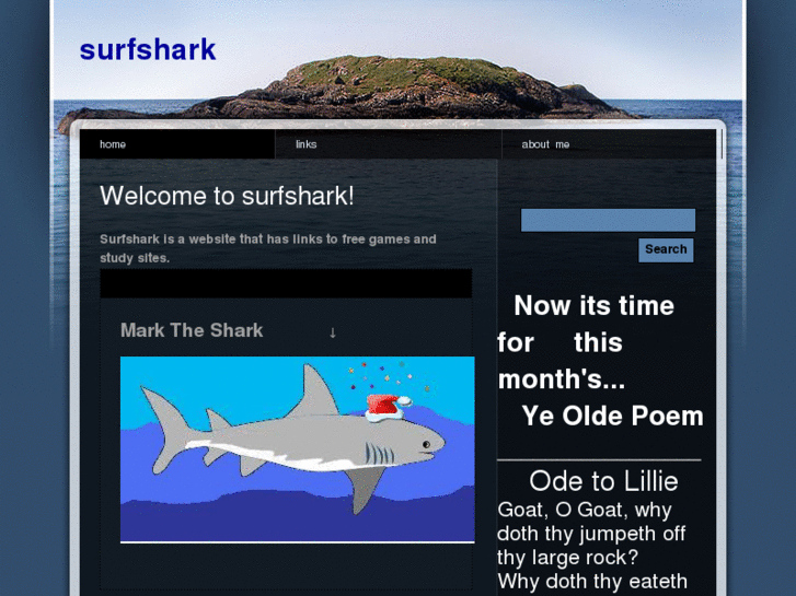 www.surfshark.net