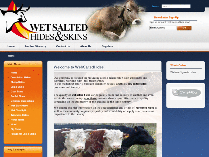 www.wetsaltedhides.com