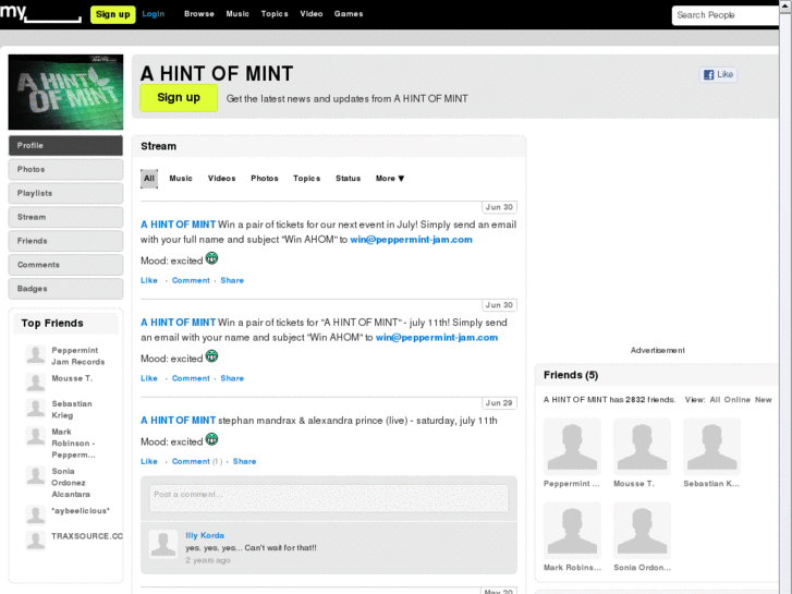 www.ahintofmint.de