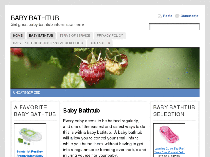 www.bathtubsforbabies.com