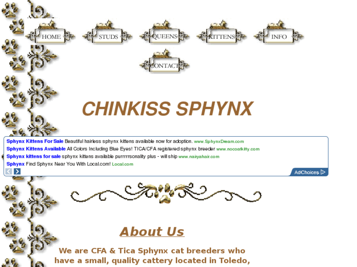 www.chinkiss-sphynx.com