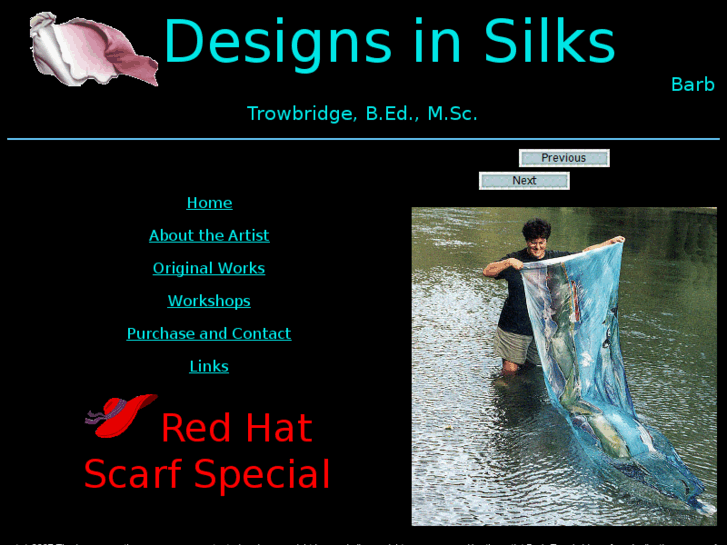 www.designsinsilks.com