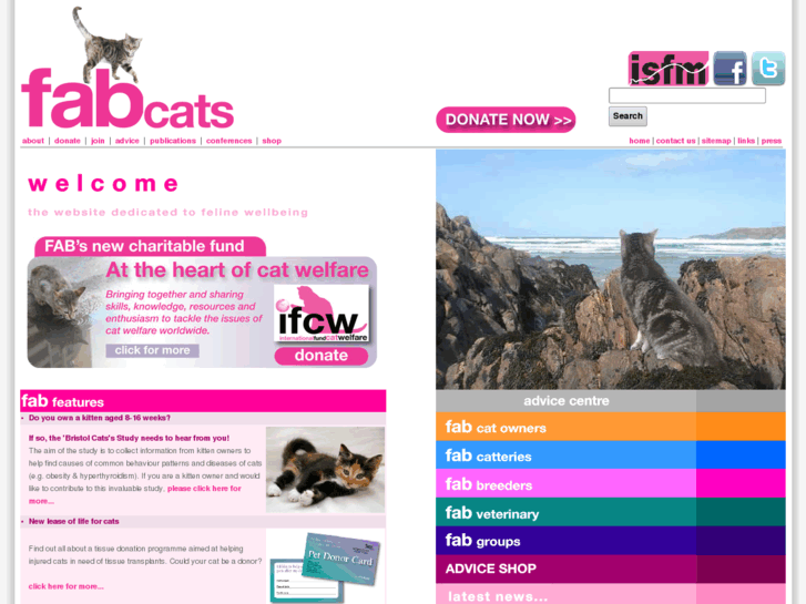 www.fabcats.org