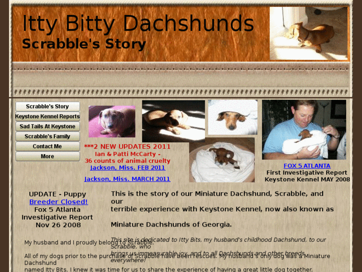 www.ittybittydachshunds.com