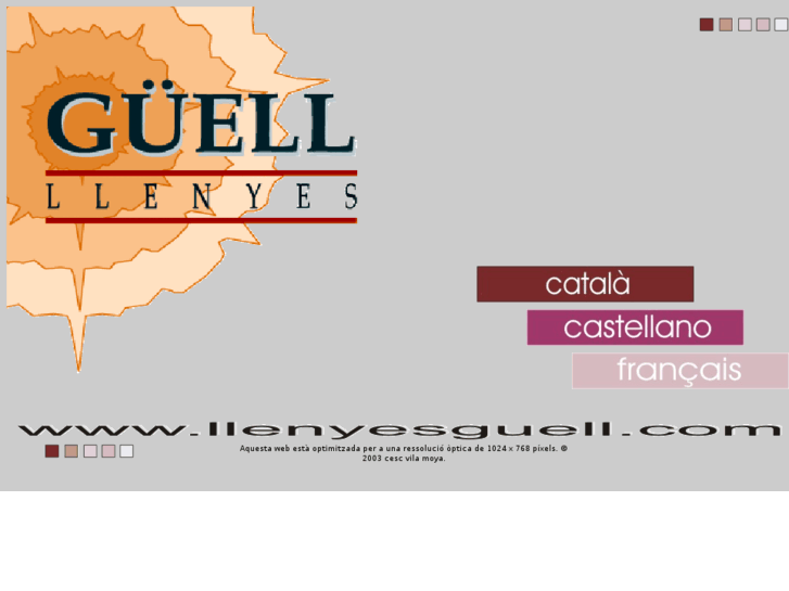 www.llenyesguell.com