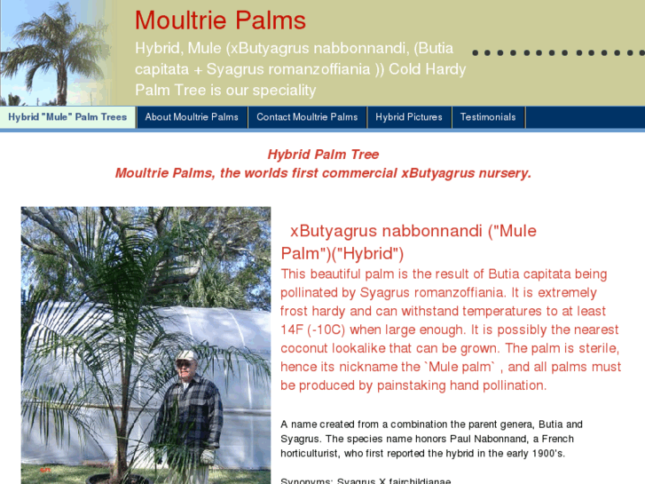 www.moultriepalms.com