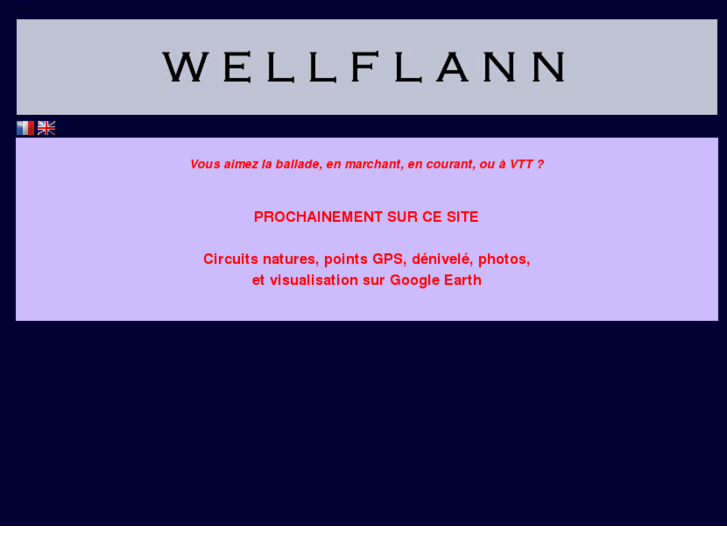 www.wellflann.com