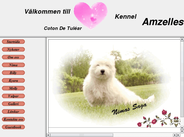 www.amzelles.se