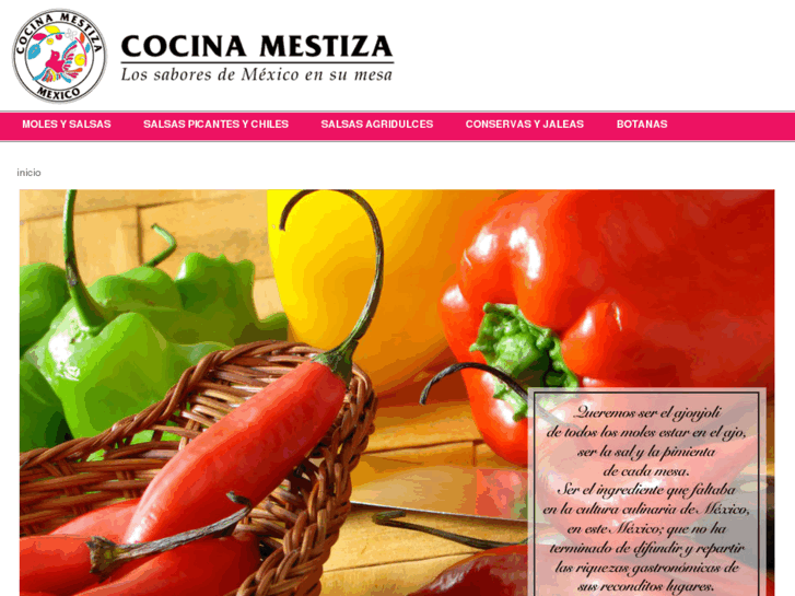 www.cocinamestiza.com