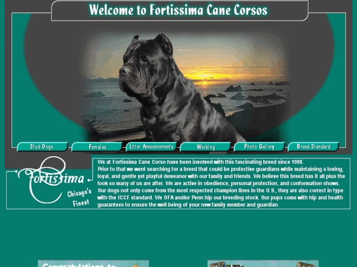 www.fortissimacanecorso.com