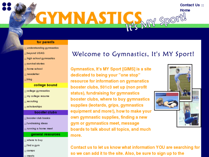 www.gymnasticsims.com