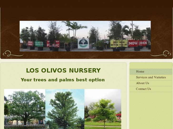 www.losolivosnursery.com