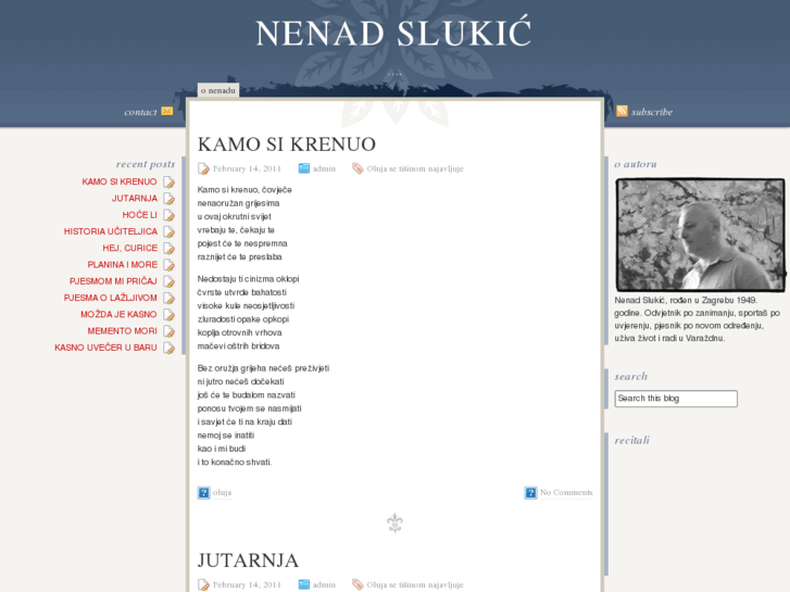 www.nenadslukic.net