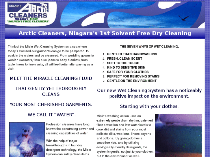 www.arcticcleaners.com