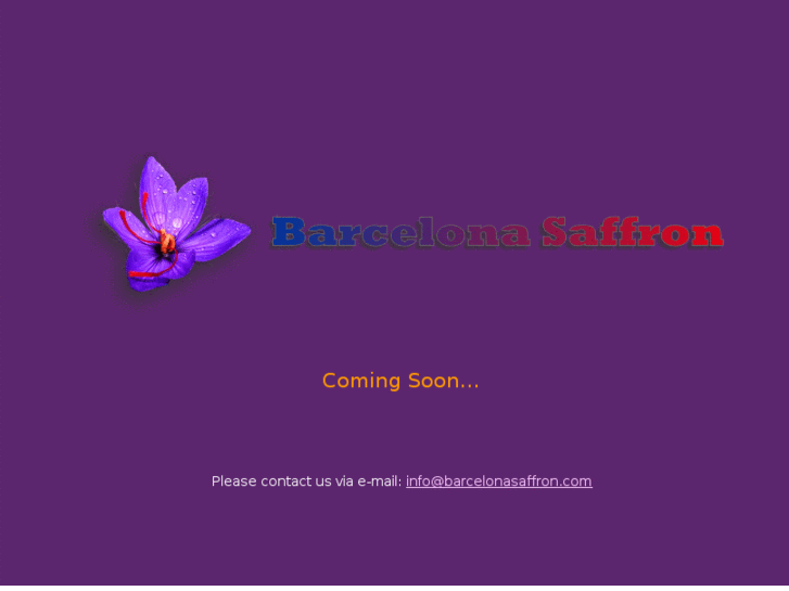 www.barcelonasaffron.com