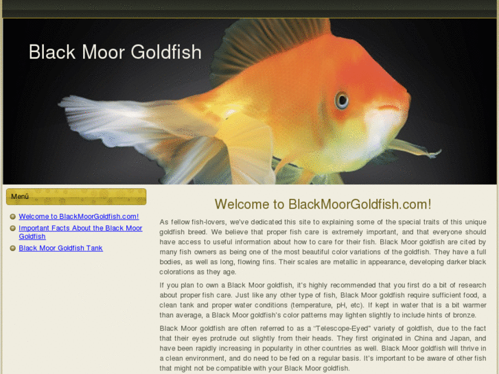 www.blackmoorgoldfish.com