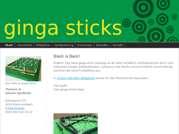 www.ginga-sticks.com