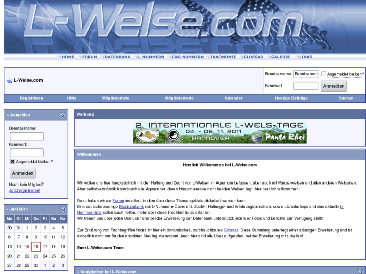 www.l-welse.com