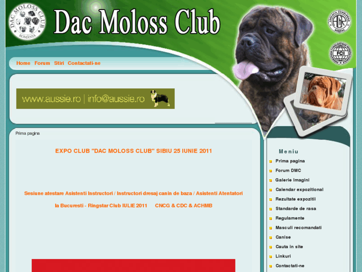 www.molossclub.com