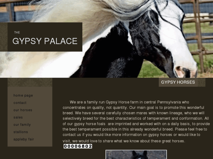 www.thegypsypalace.com