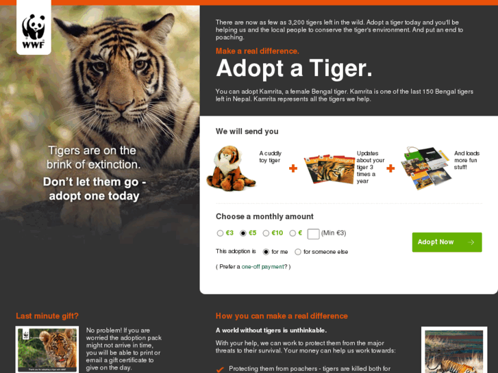 www.adoptatiger.org