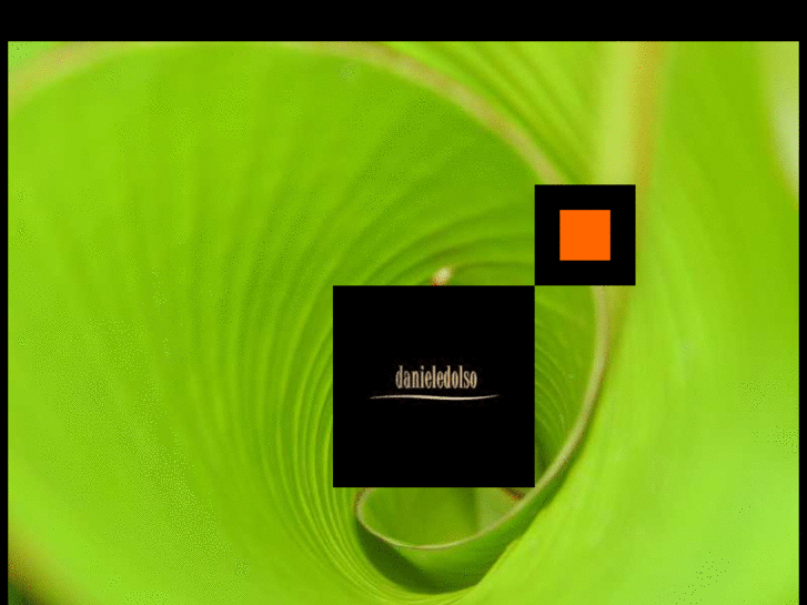 www.danieledolso.com