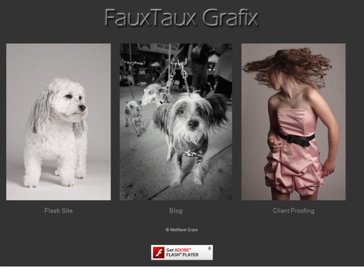 www.fauxtauxgrafix.com