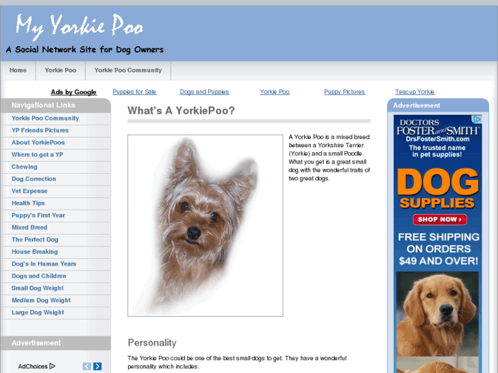 www.myyorkiepoo.com