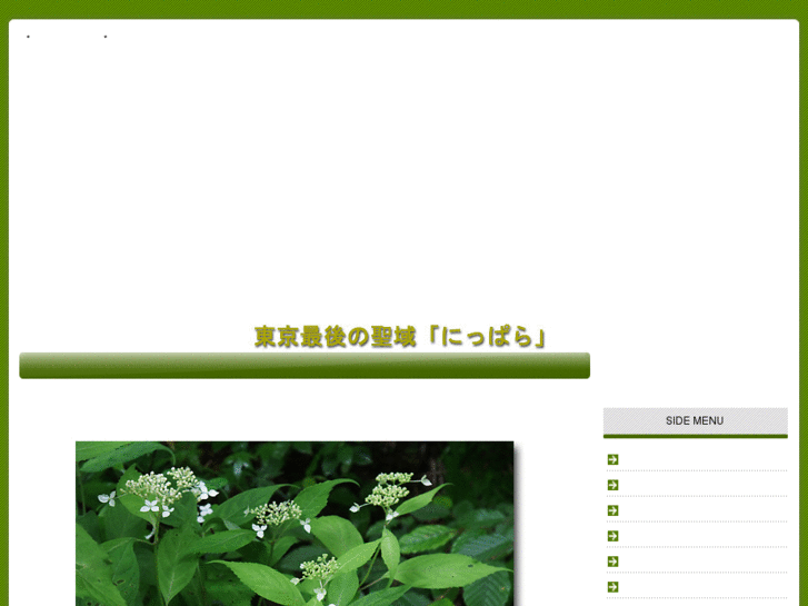 www.nippara-forest.com