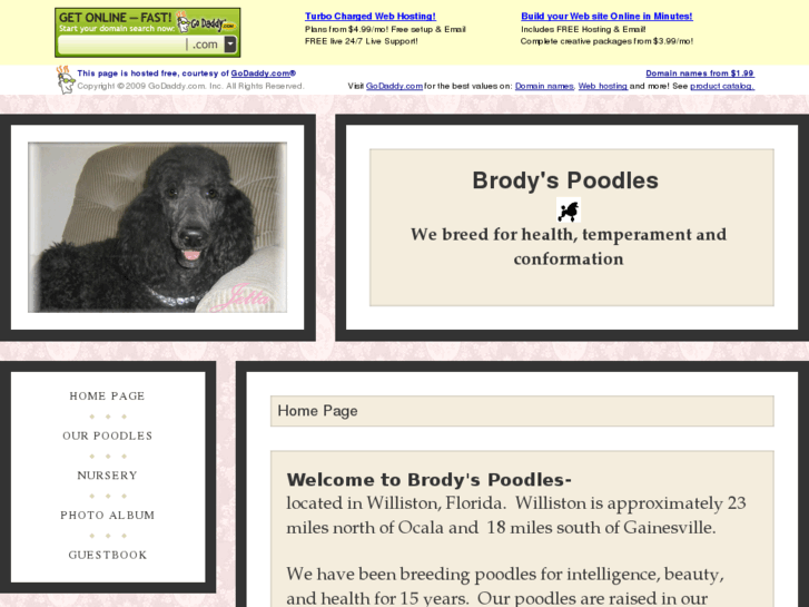 www.brodyspoodles.com