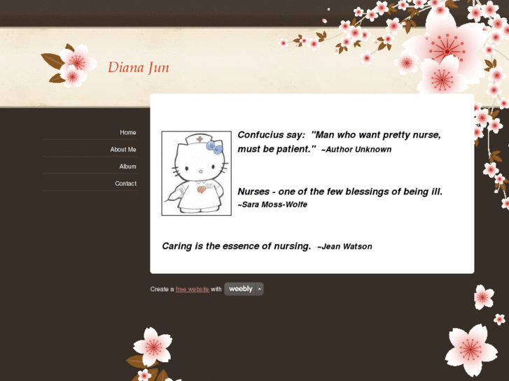 www.dianajun.com