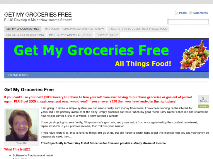 www.getmygroceriesfree.com