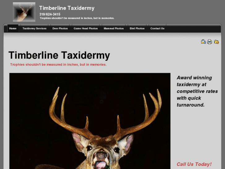 www.timberlinetaxidermyusa.com