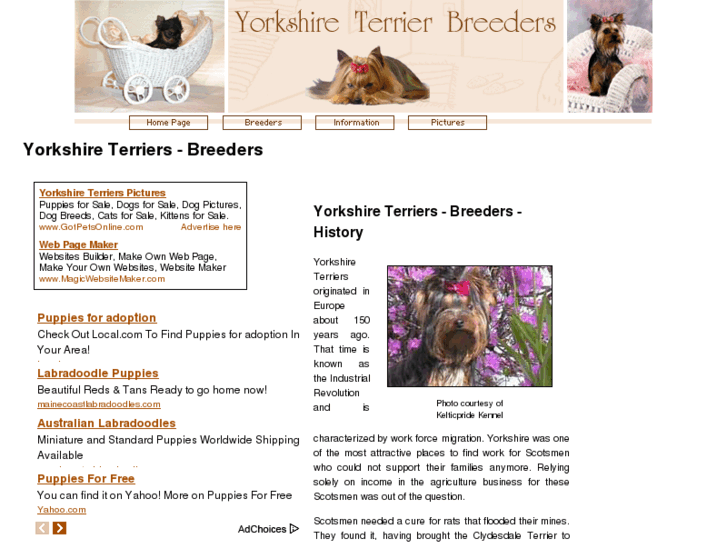 www.yorkshire-terriers-breeders.com