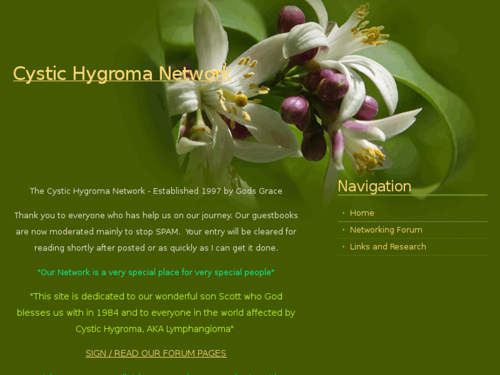 www.cystichygroma.co.uk