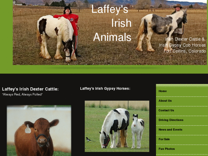 www.laffeysirishanimals.com