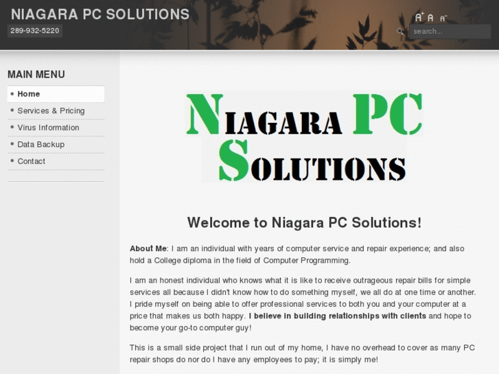 www.niagarapcsolutions.com