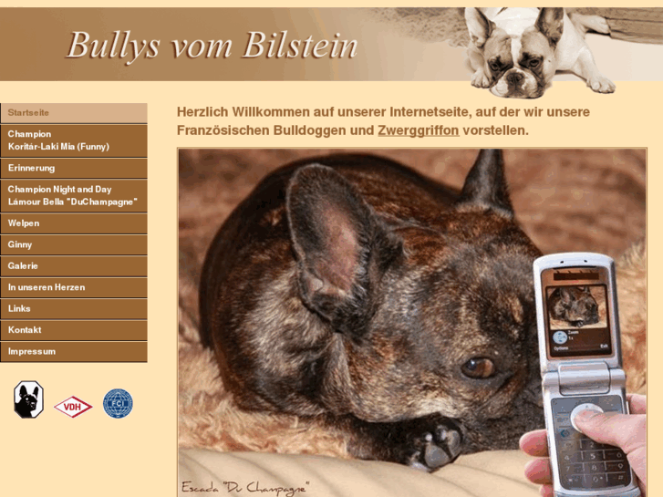 www.bullys-vom-bilstein.de