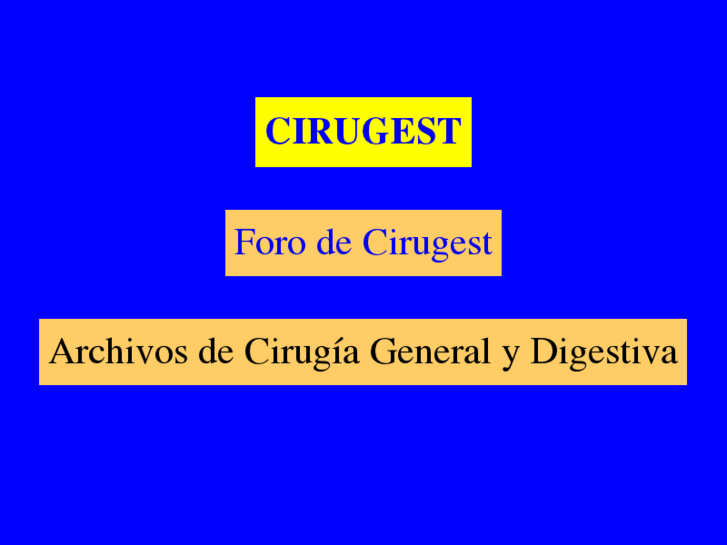 www.cirugest.com