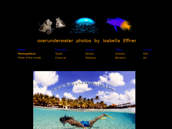 www.divephotoworld.com