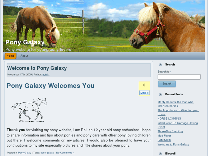 www.ponygalaxy.com